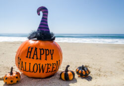 Wonderful pumpkin on the beach