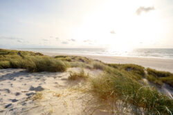 Wonderful beach trail near our st. augustine rentals