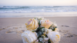 Crescent Beach Wedding