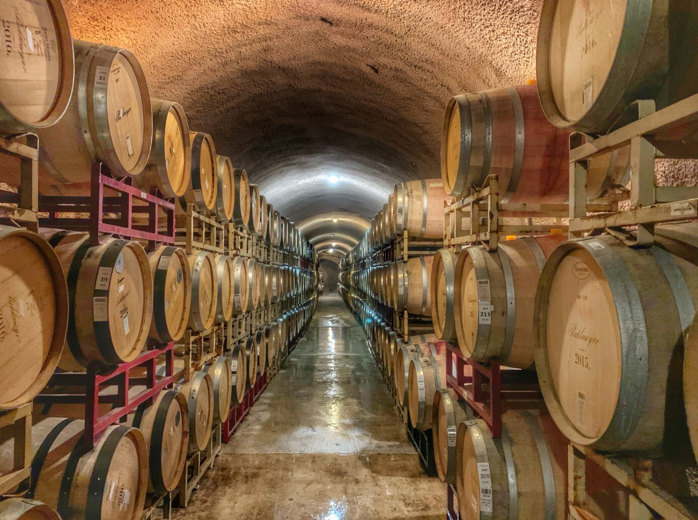 wine barrels in a wine cellar